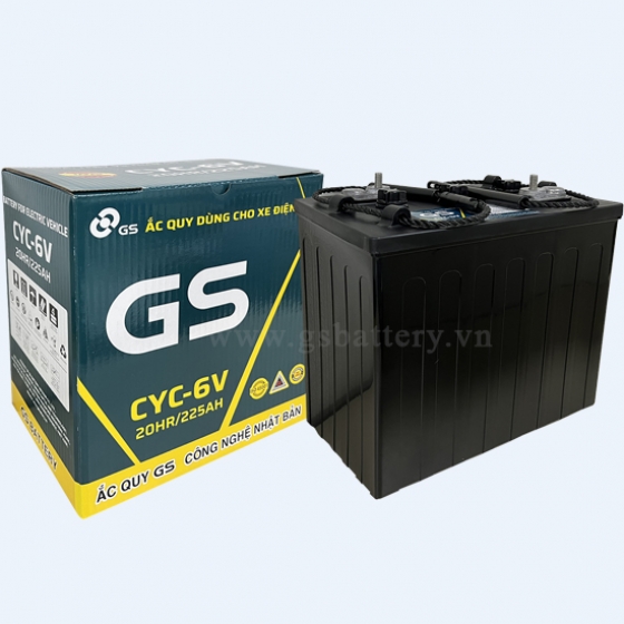 ẮC QUY GS CYC6V (6V-225AH)
