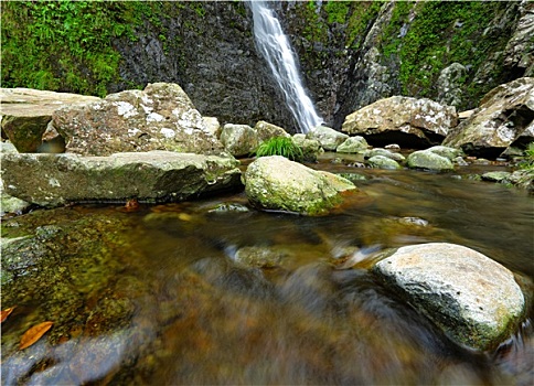 du doan bach thu lo
