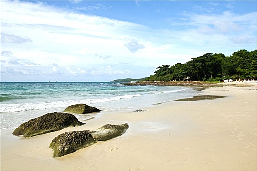 soi rong bach kim