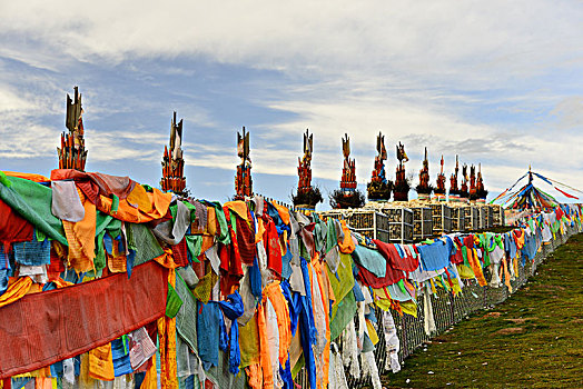 xs rong vang bach kim