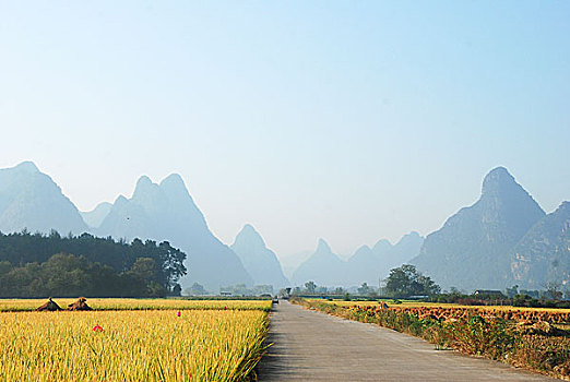xổ số thứ sáu hàng tuần