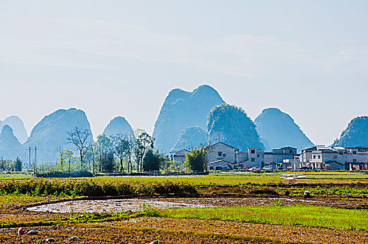 cầu lô bạch thủ
