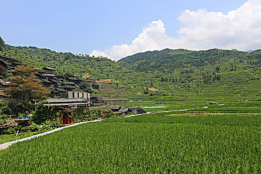 xo so miễn nam
