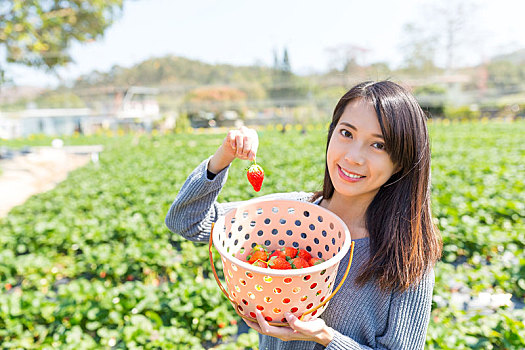 soi cầu xổ số miền bắc 666