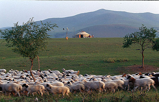 du doan xo so mien nam chinh xac 100