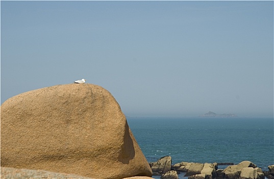 lo bạch thủ hôm nay